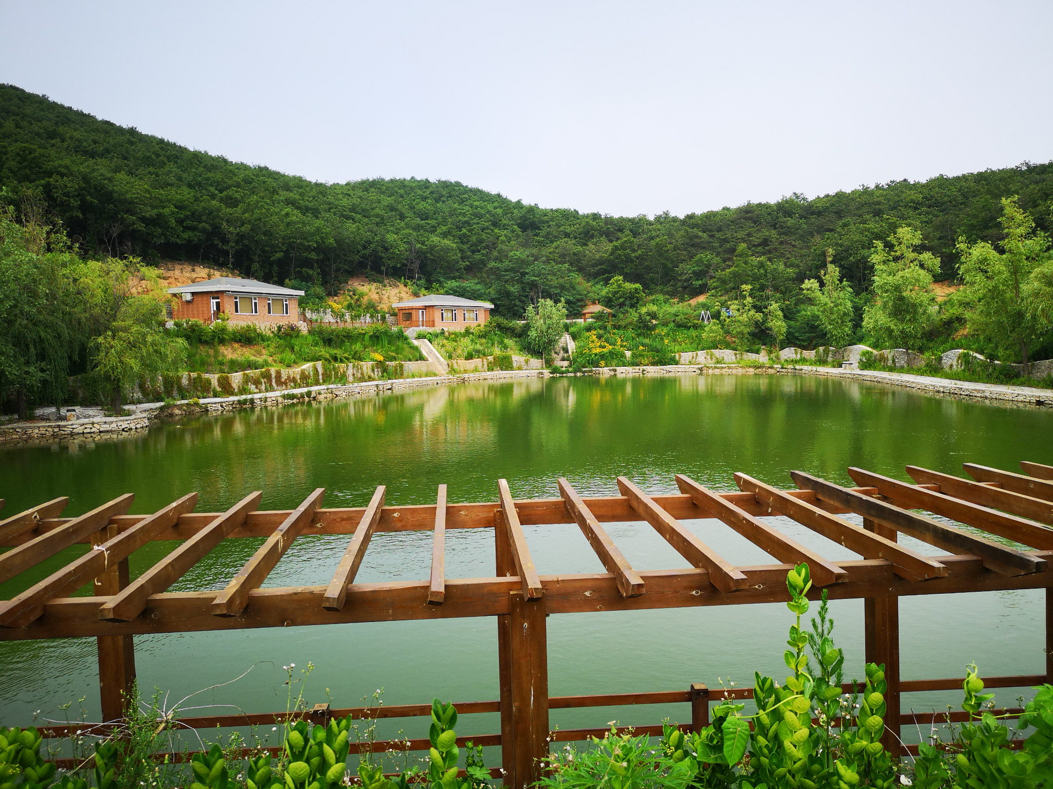 探店"北马山庄",隐藏在大连山中的一家特色民宿.