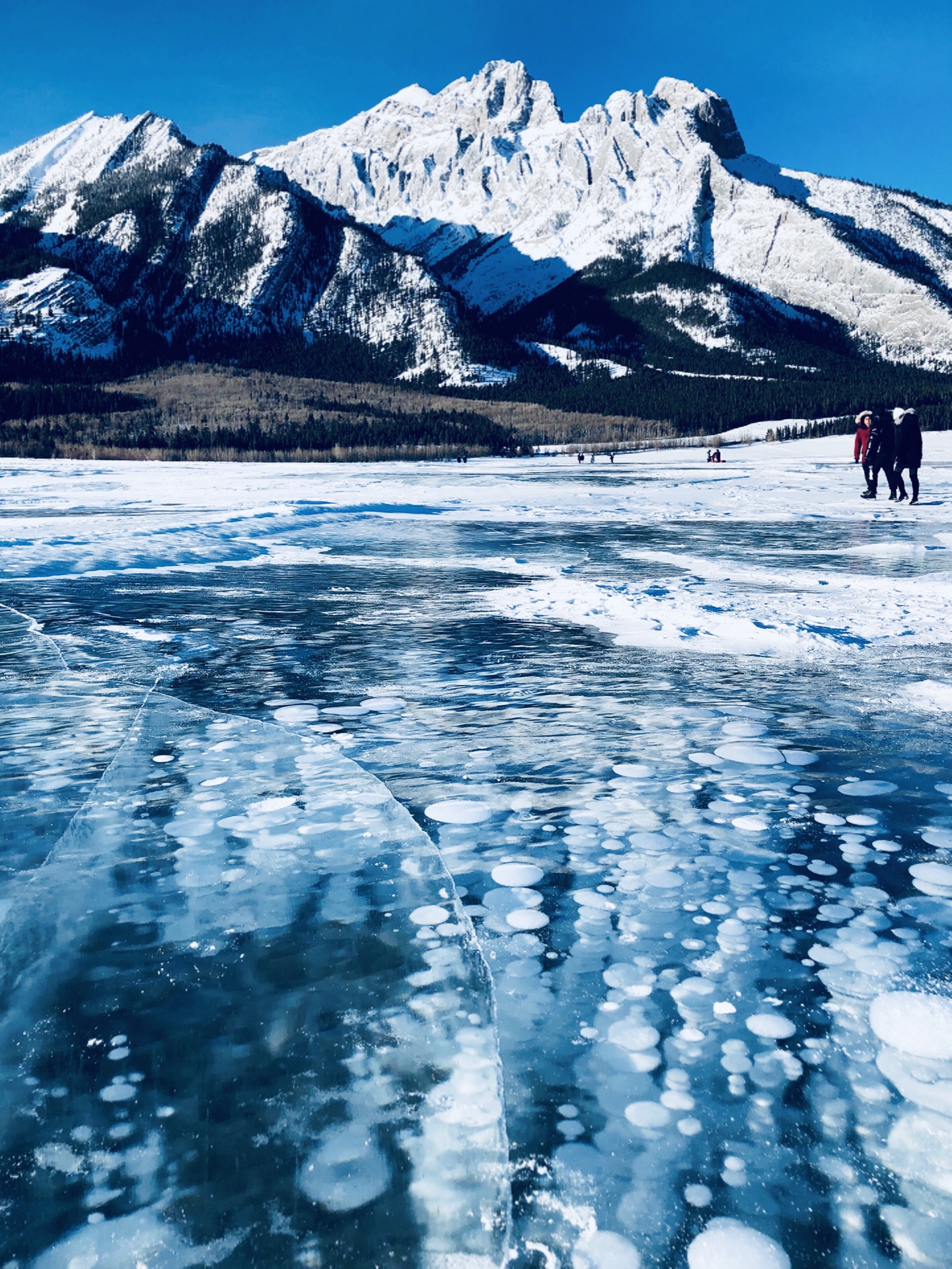 加拿大洛基山脉山脚的亚伯拉罕湖(abraham lake