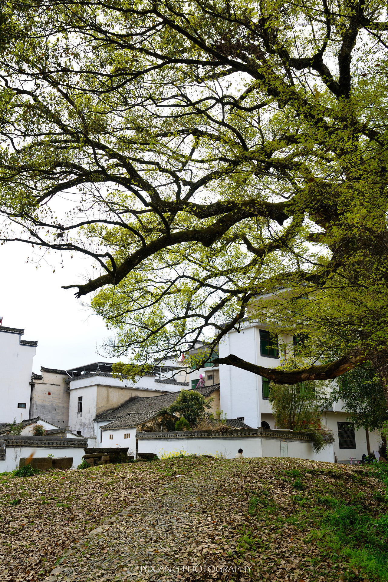 東極島自助遊攻略