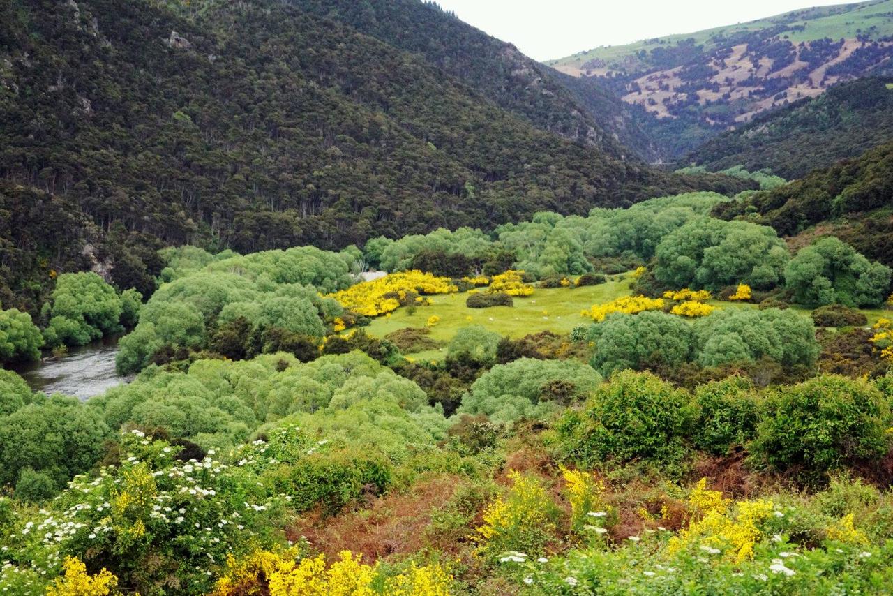 瑞安平阳坑南山村