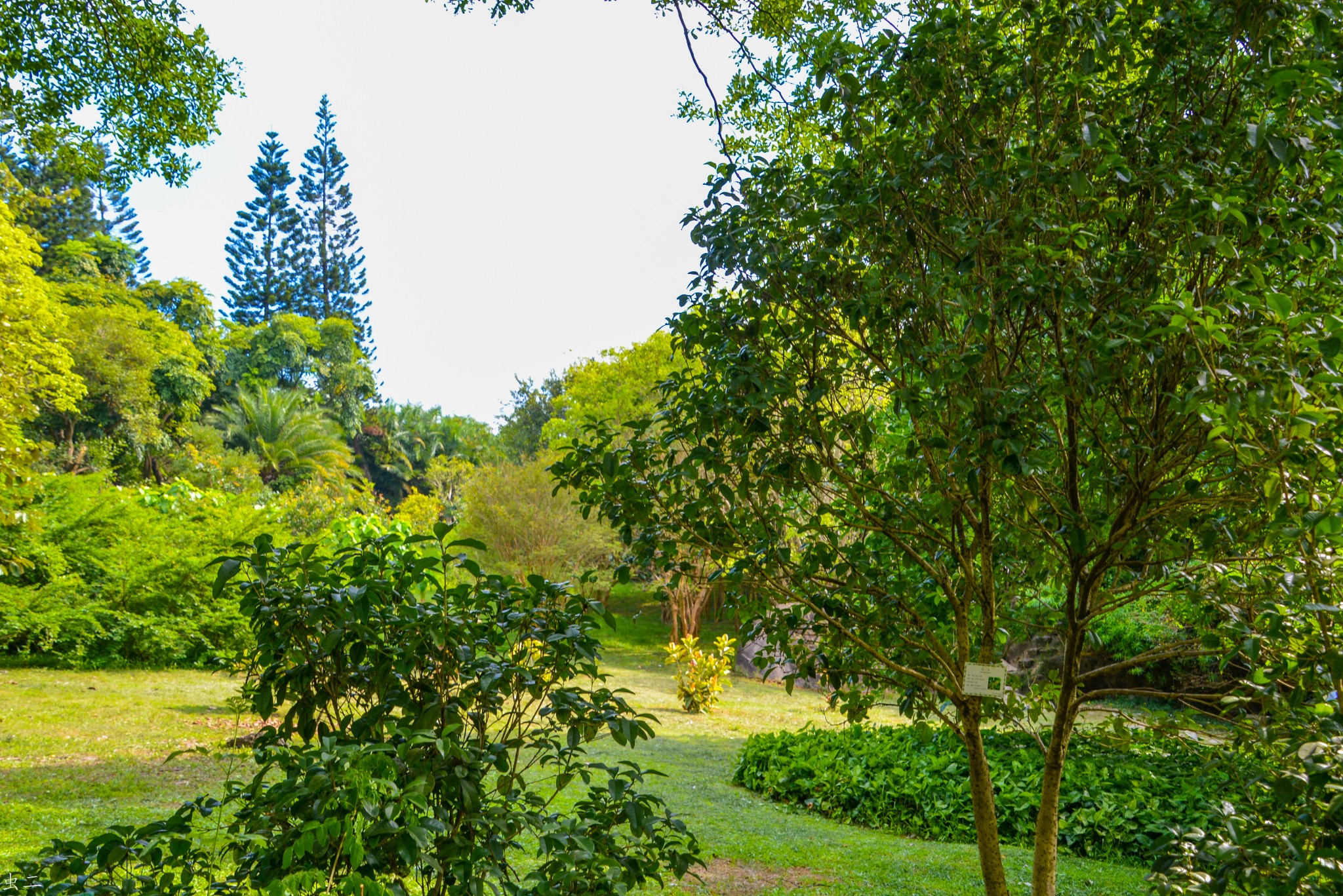 廈門園林植物園萬石植物園鐵道文化園中山公園