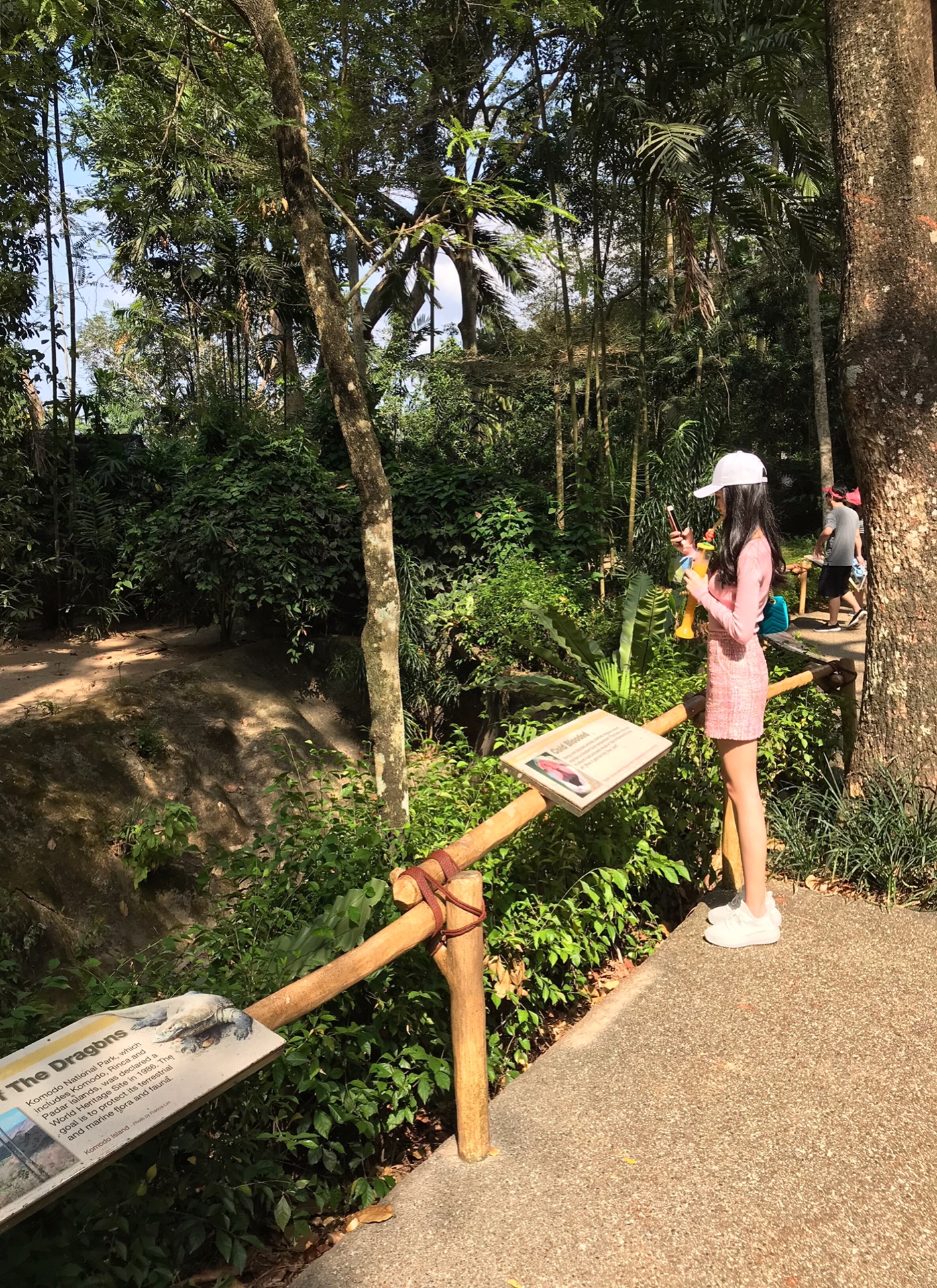 打车过去居然关门,于是找到附近牛车水的另一家美食,叫了凡香港油鸡饭