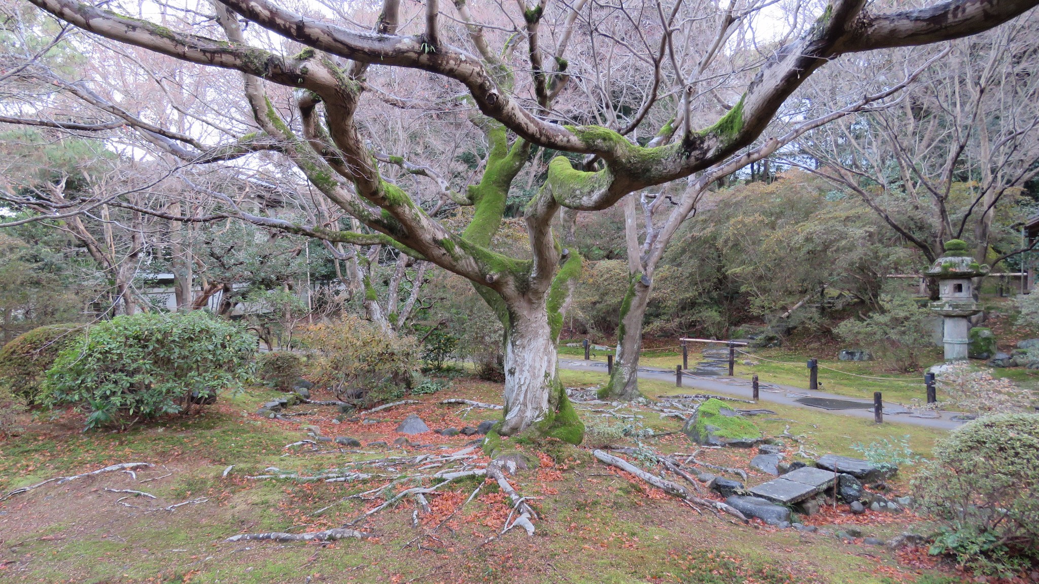 京都自助遊攻略