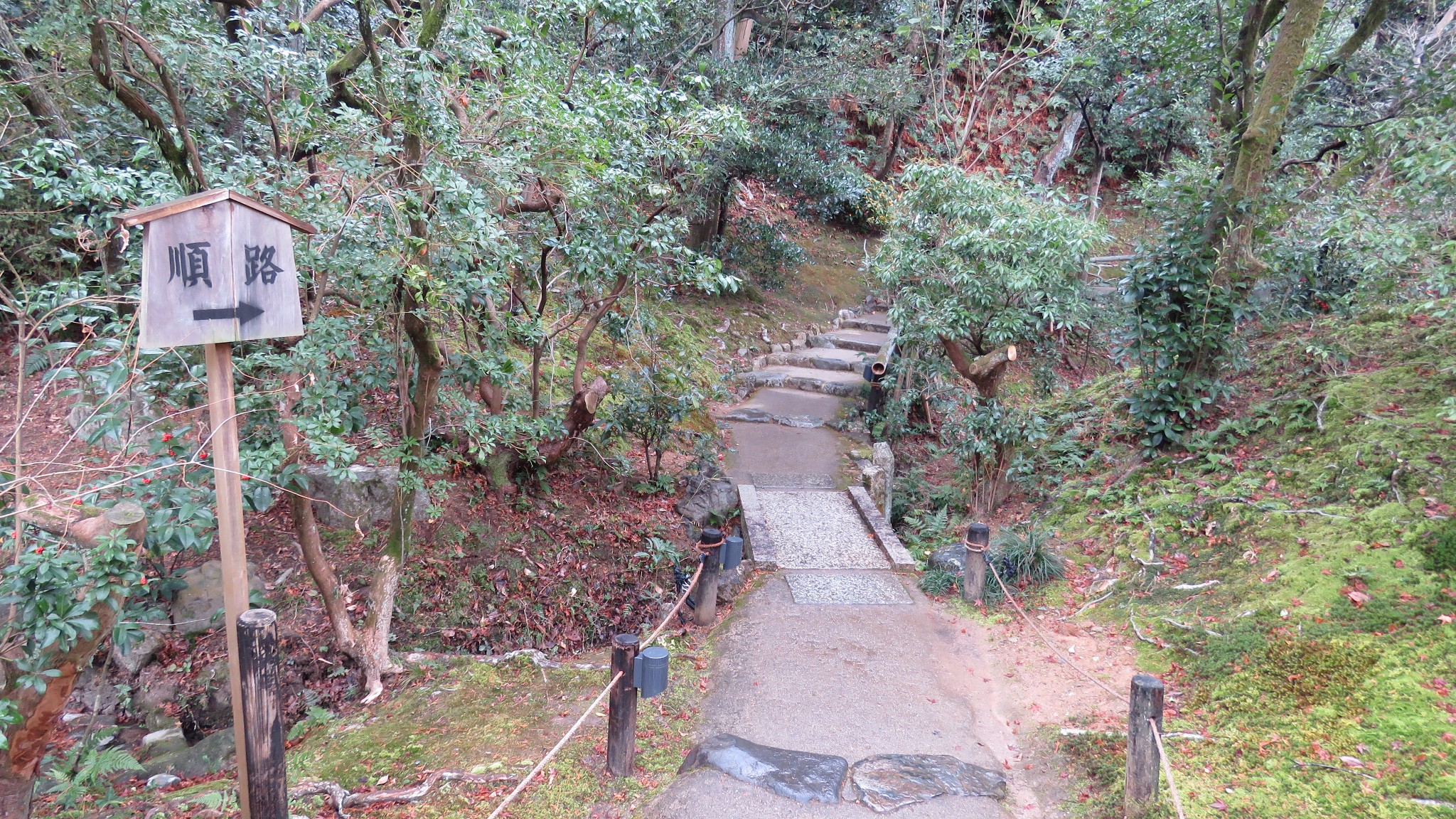 京都自助遊攻略