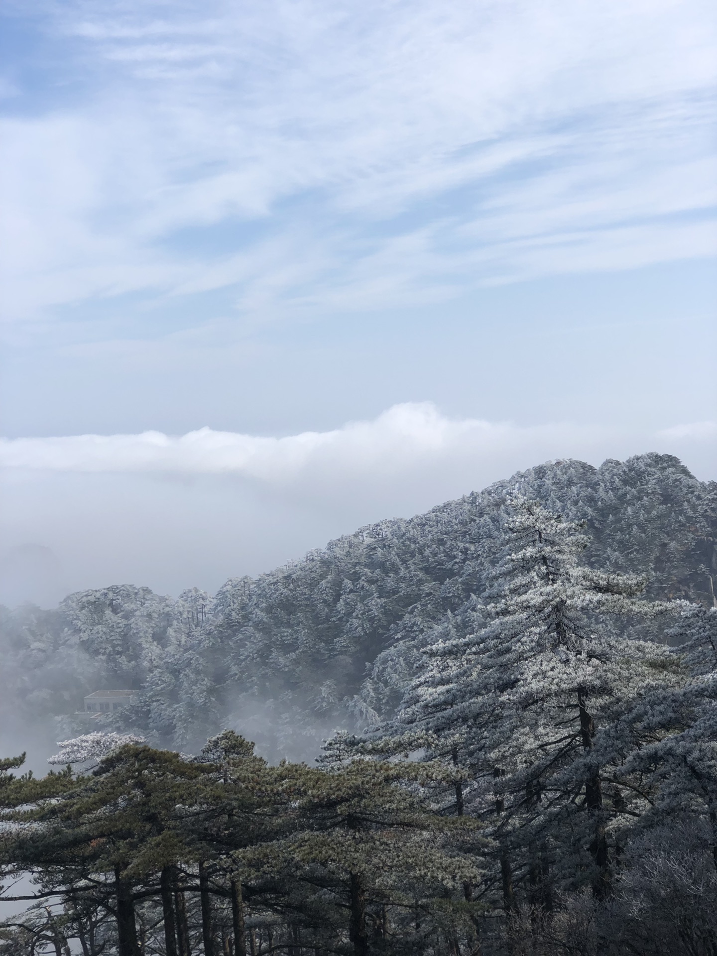重庆黄山厦门10日游亲子游