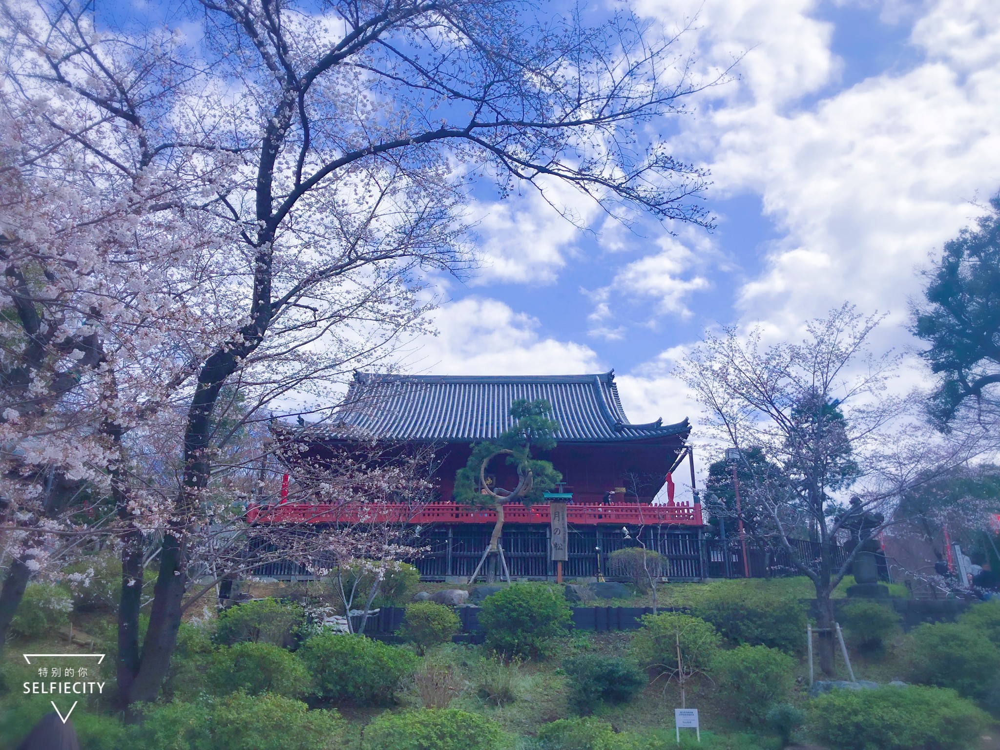 東京自助遊攻略