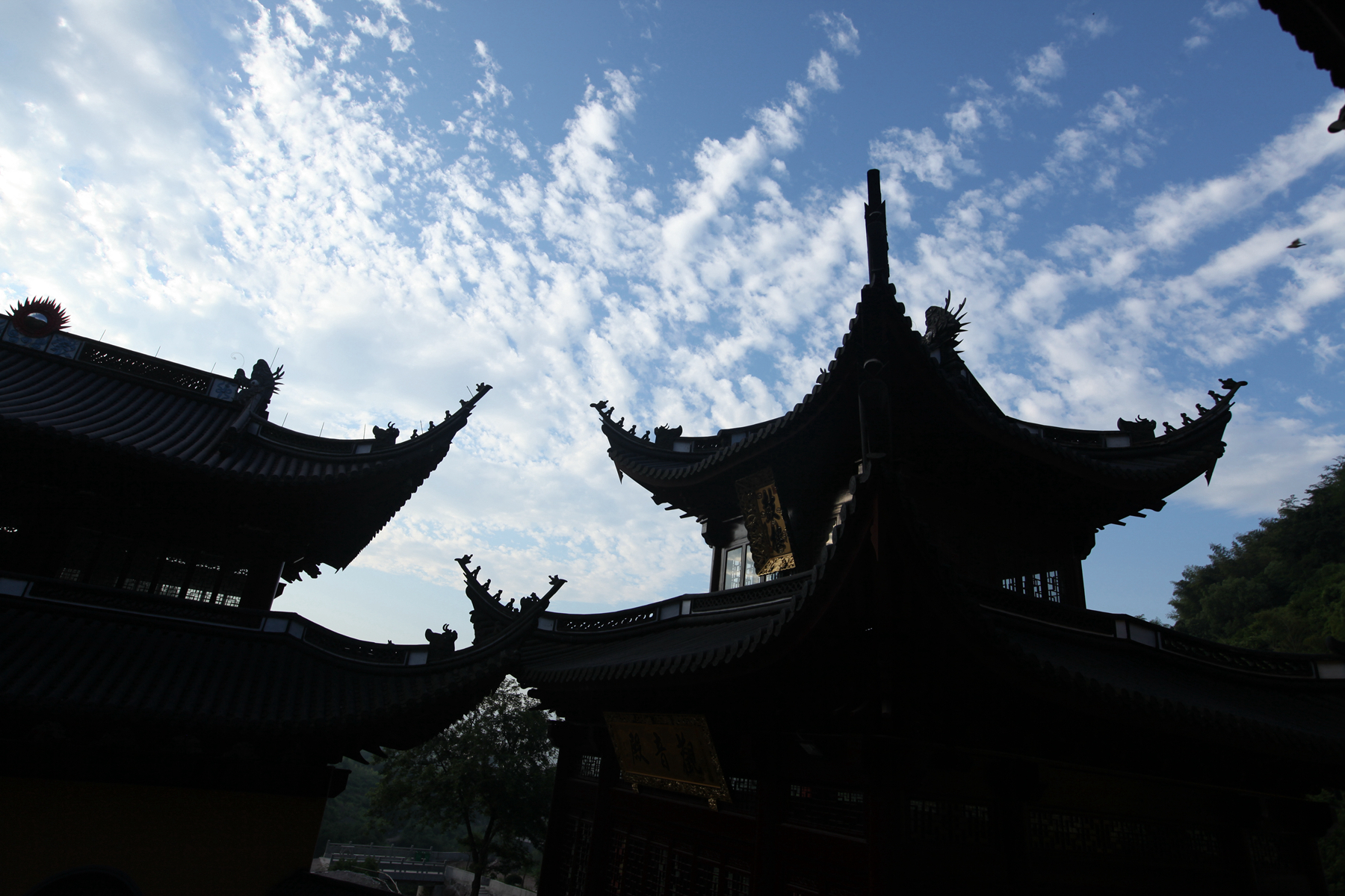 参学名山竹林寺