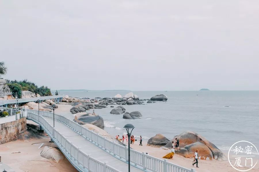 坐公交車的時候也可以欣賞到海景,特別是廈門大橋,集美大橋沿線,每次