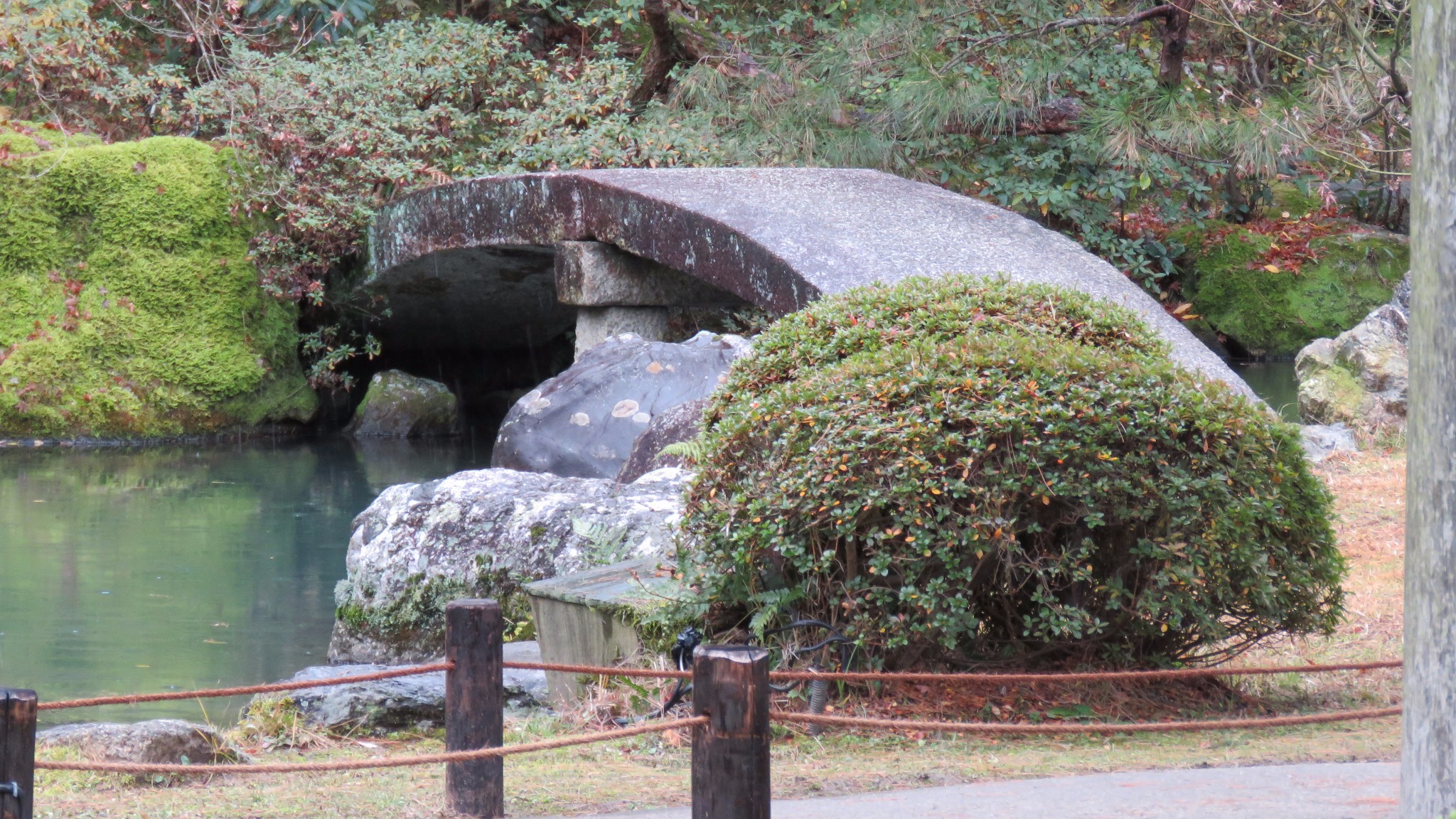 京都自助遊攻略