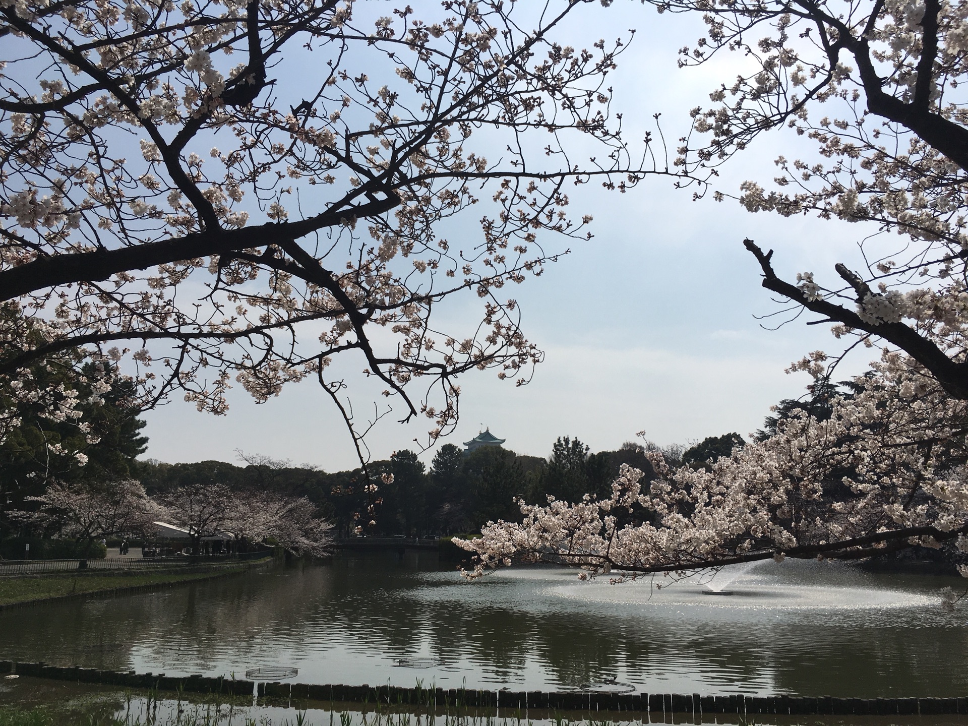 名古屋自助遊攻略