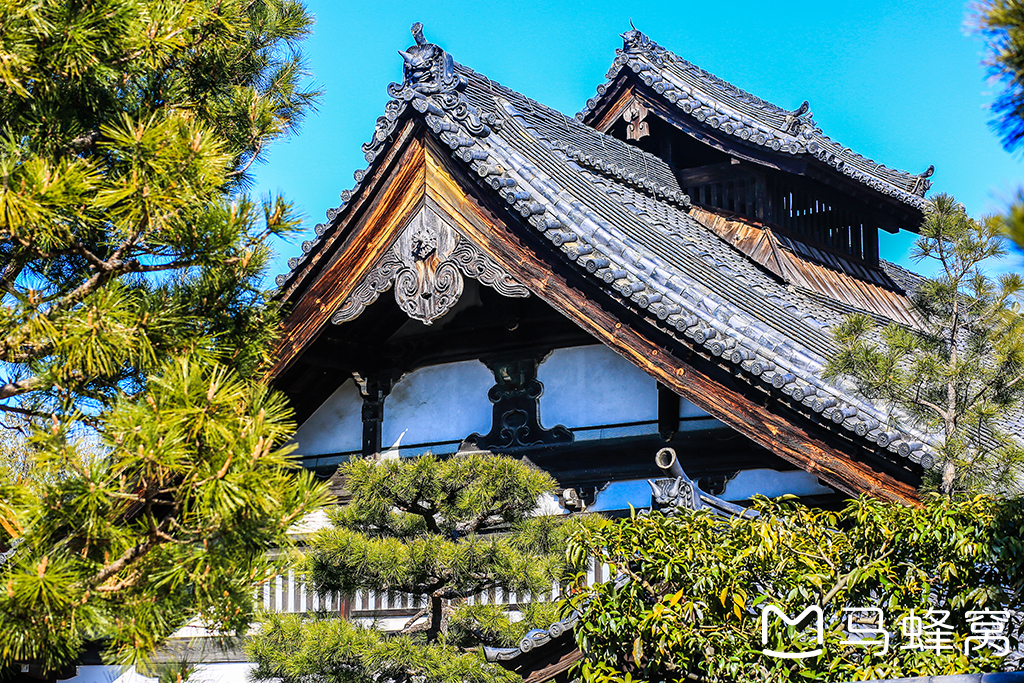 京都自助遊攻略