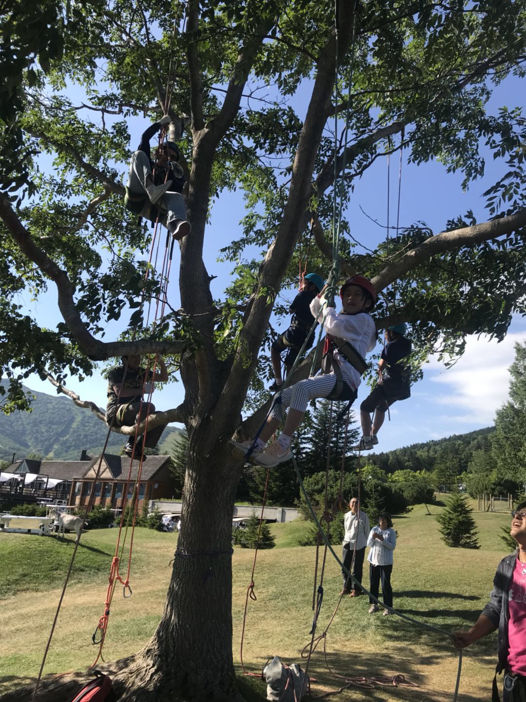 星野自助遊攻略