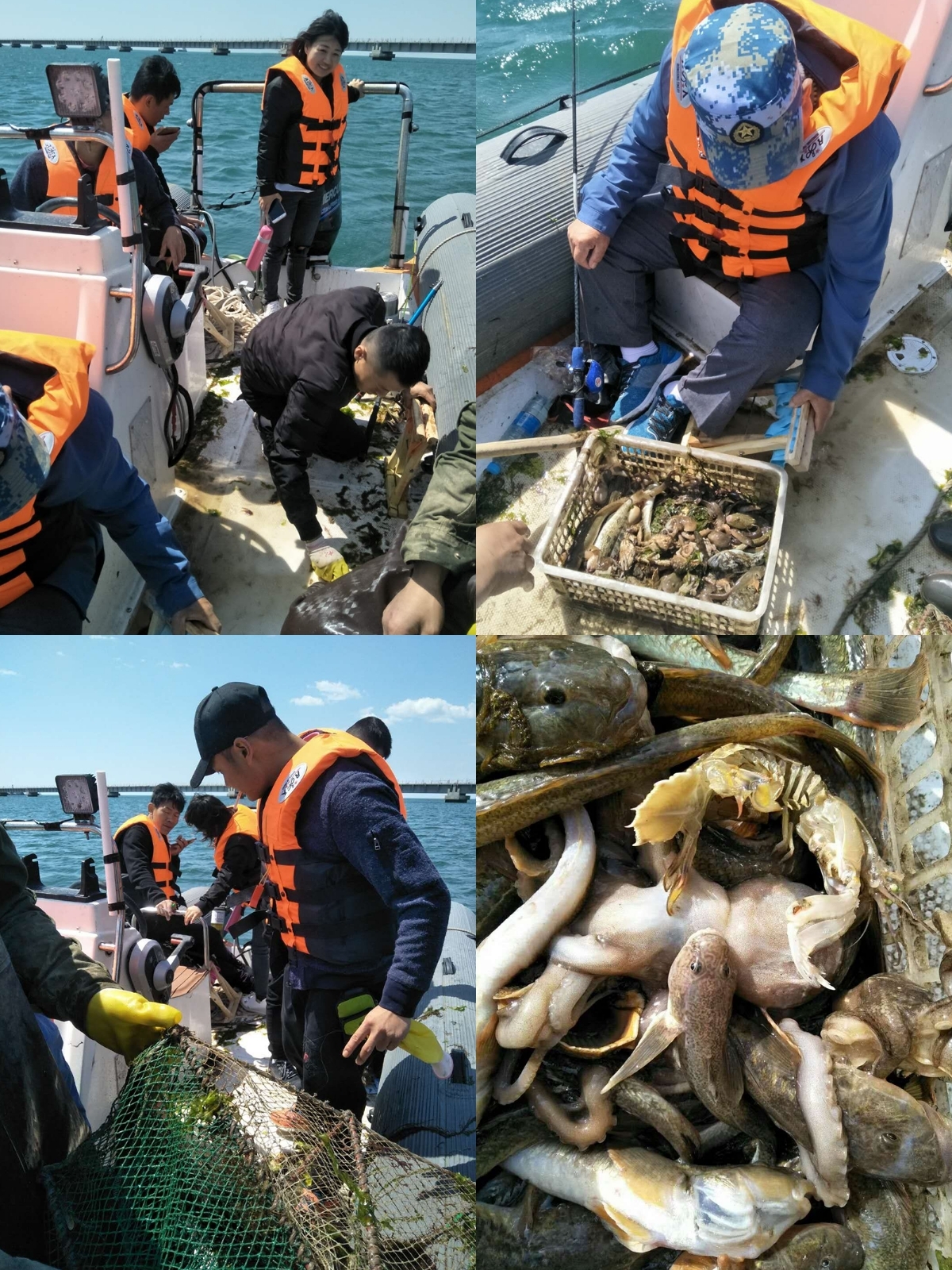 2018东戴河——体验出海捕鱼,海味与海景的海滨之旅