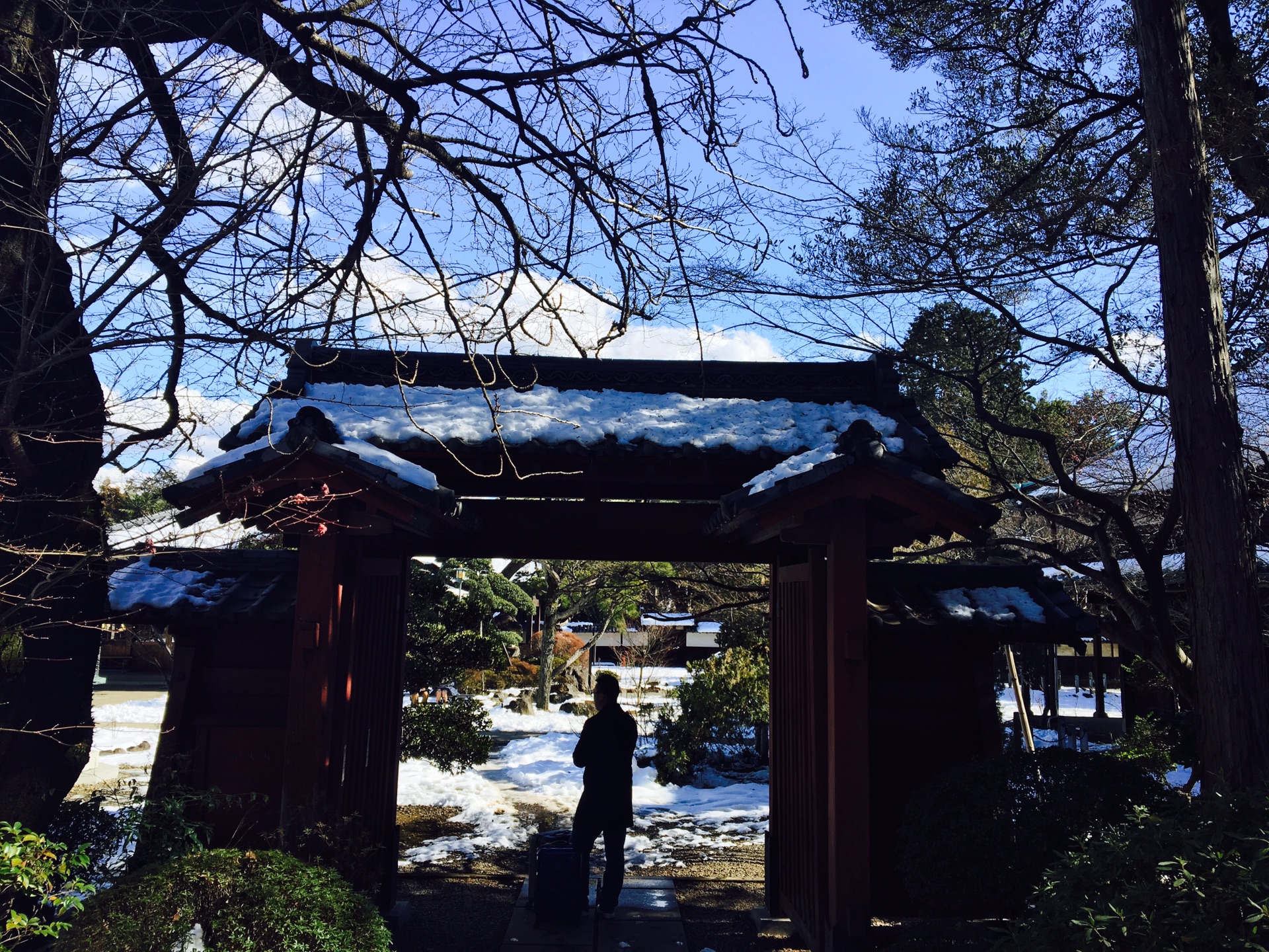 富士山自助遊攻略