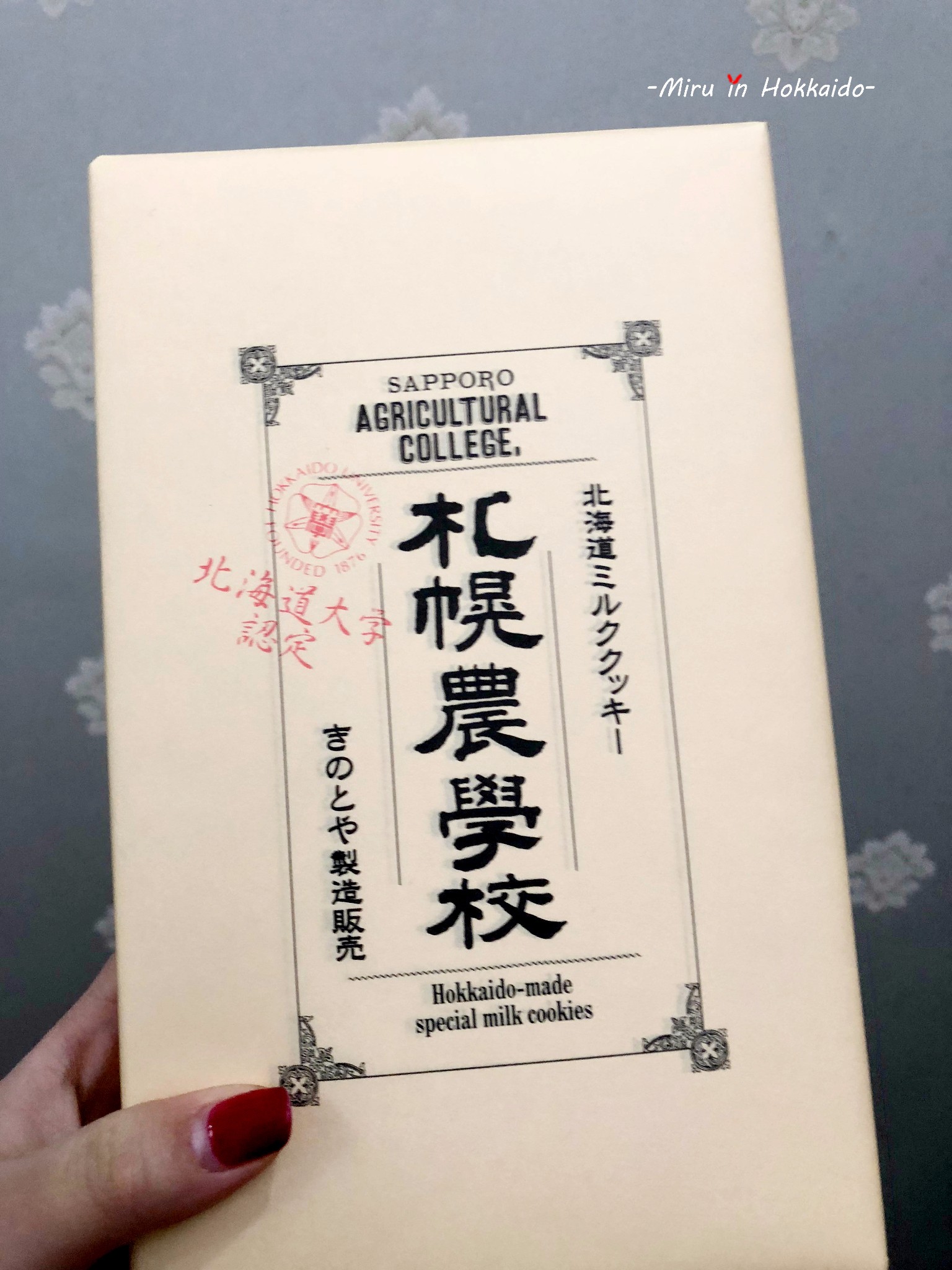 北海道自助遊攻略