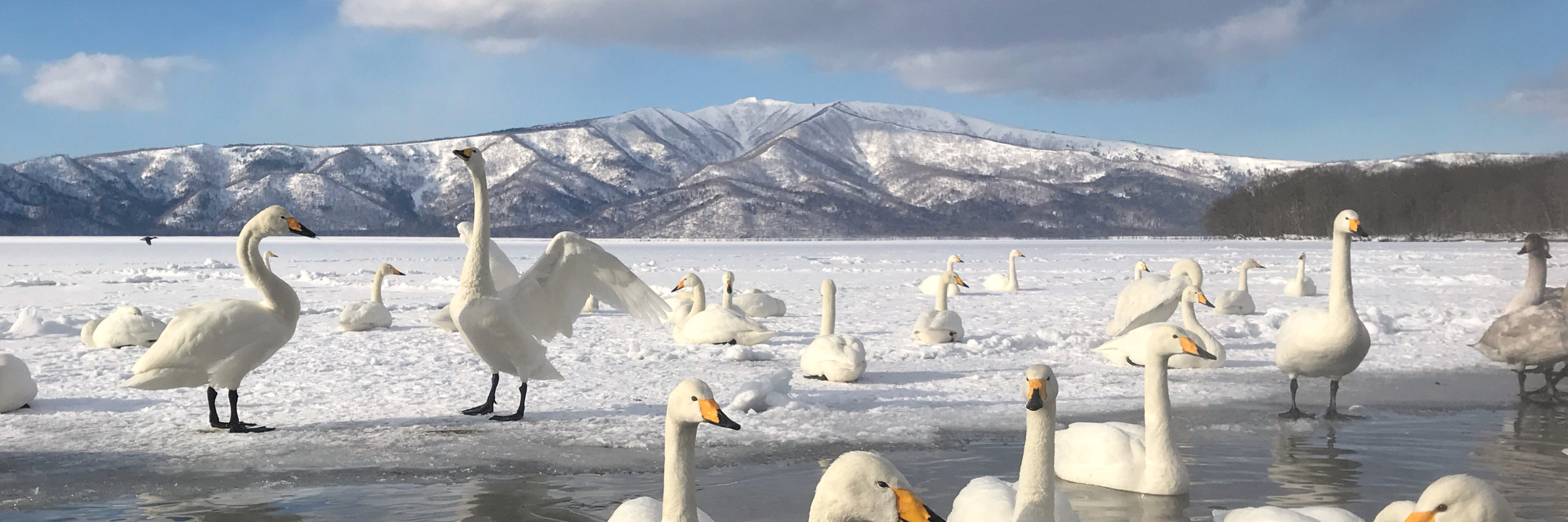 带着优哥去旅行 冬の北海道 札幌 旭川 层云峡 网走 砂场 古丹 钏路 星野 北海道自助游攻略 马蜂窝