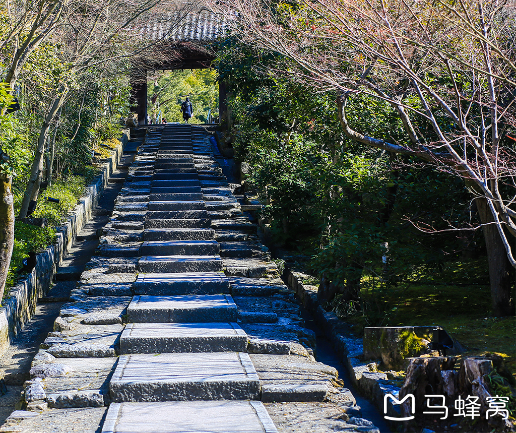 京都自助遊攻略