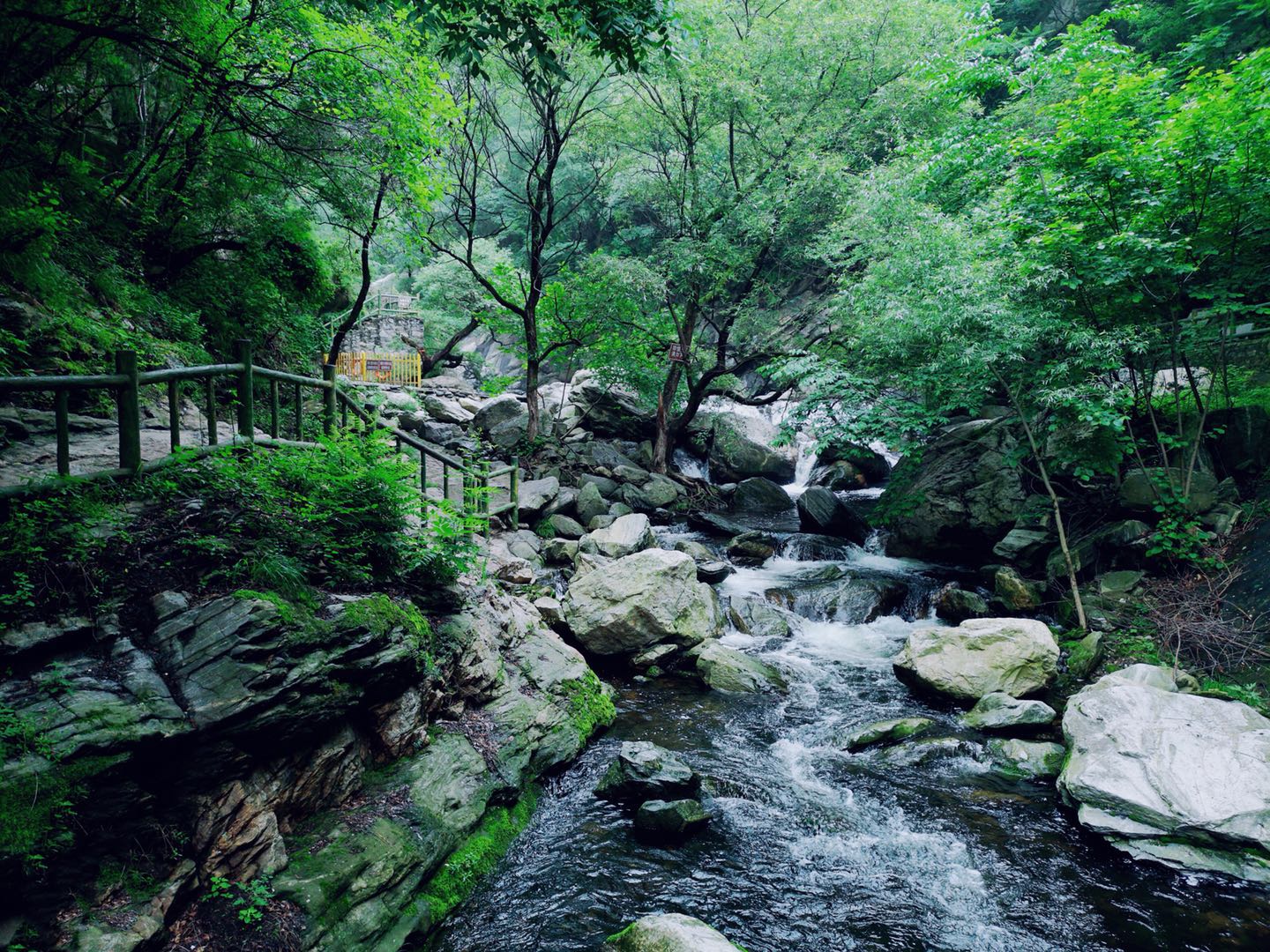 從潛龍寺景區下來之後繼續乘坐大巴,去往後山的峽谷,石門峽景區.