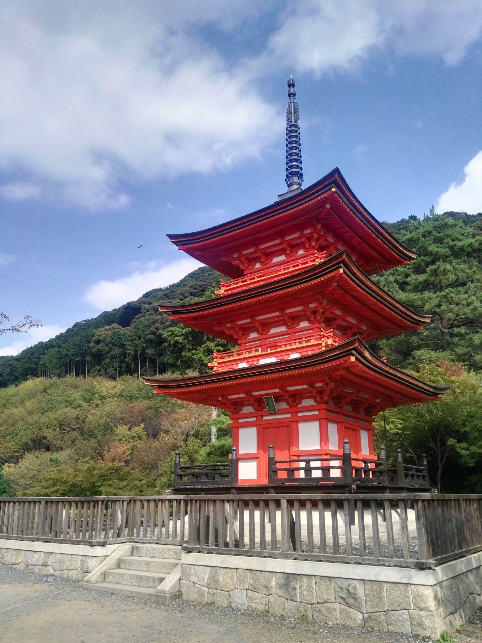 京都天授庵庭园游记, 天授庵庭园旅游攻略, 天授庵庭园自助游游记