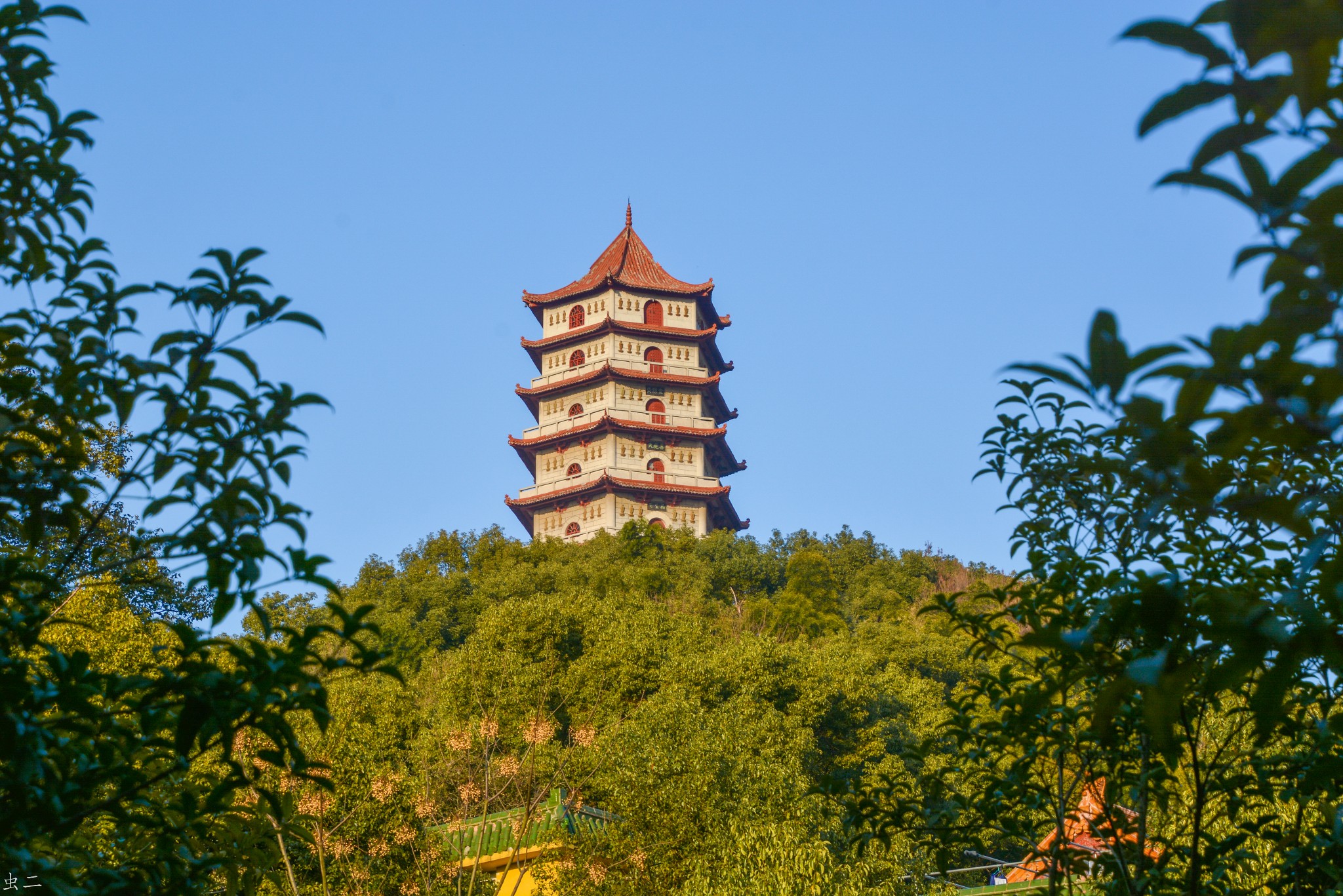 芦山行13 东林寺 聪明泉 文佛塔 慧远祖师纪念塔古塔巡礼系列之127