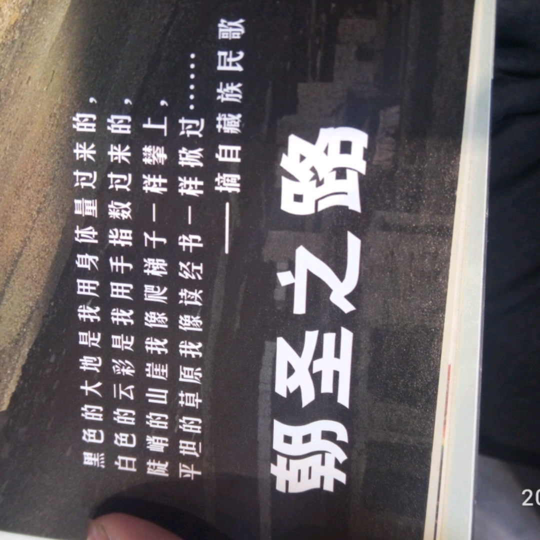 馬蜂窩用戶