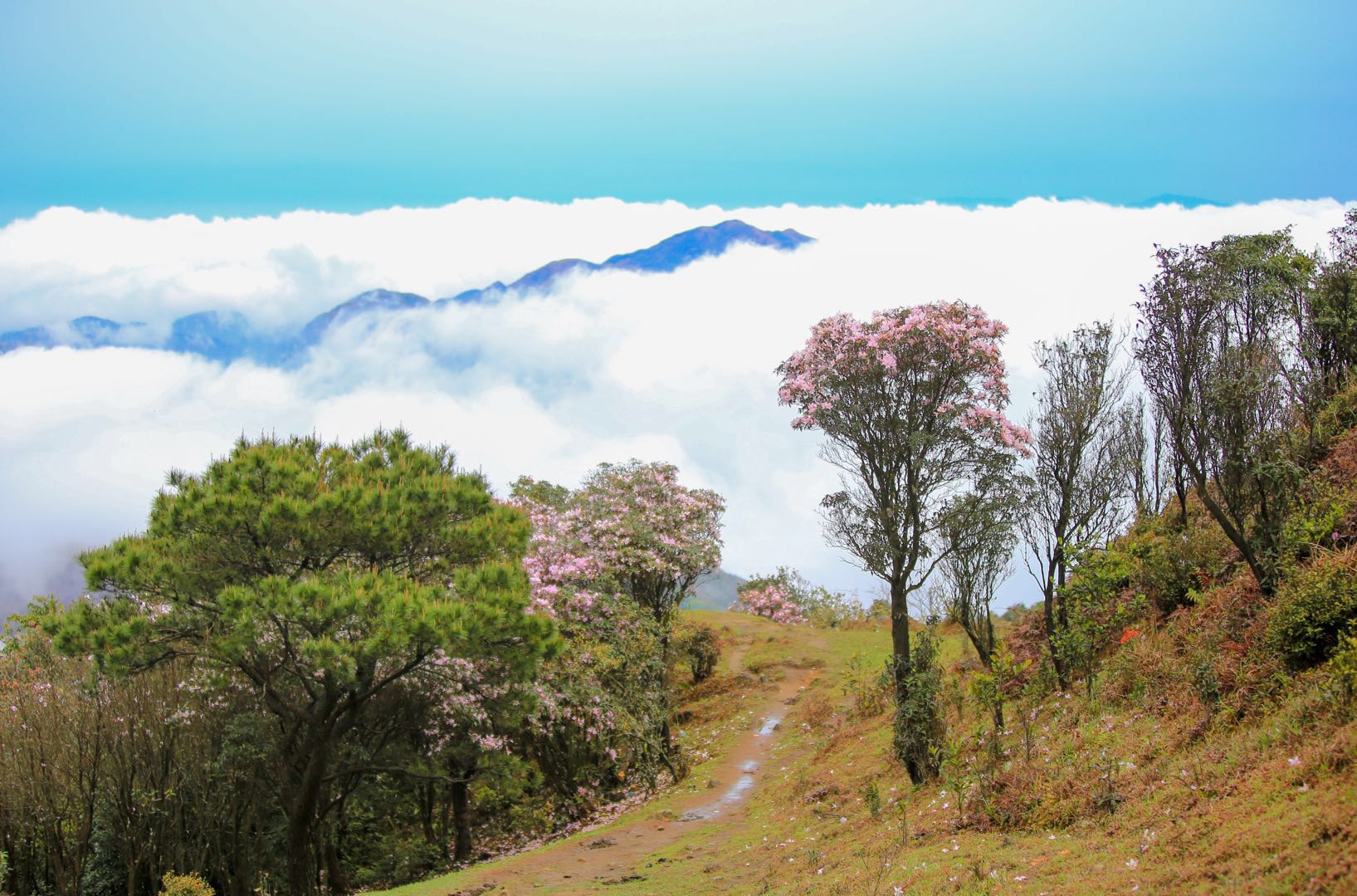 罗定八排山风景区图片