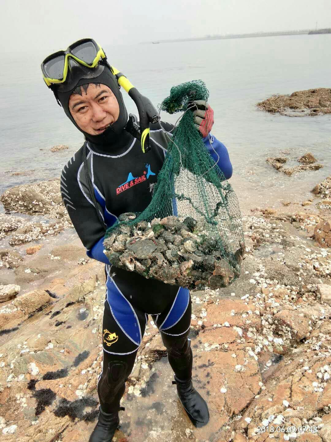 鮁魚圈6月9日趕海記,鮁魚圈旅遊攻略 - 馬蜂窩