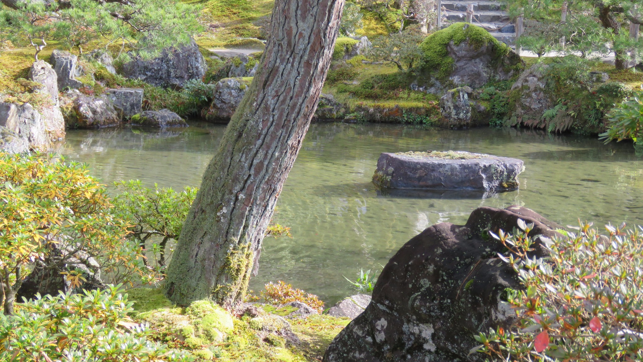 京都自助遊攻略