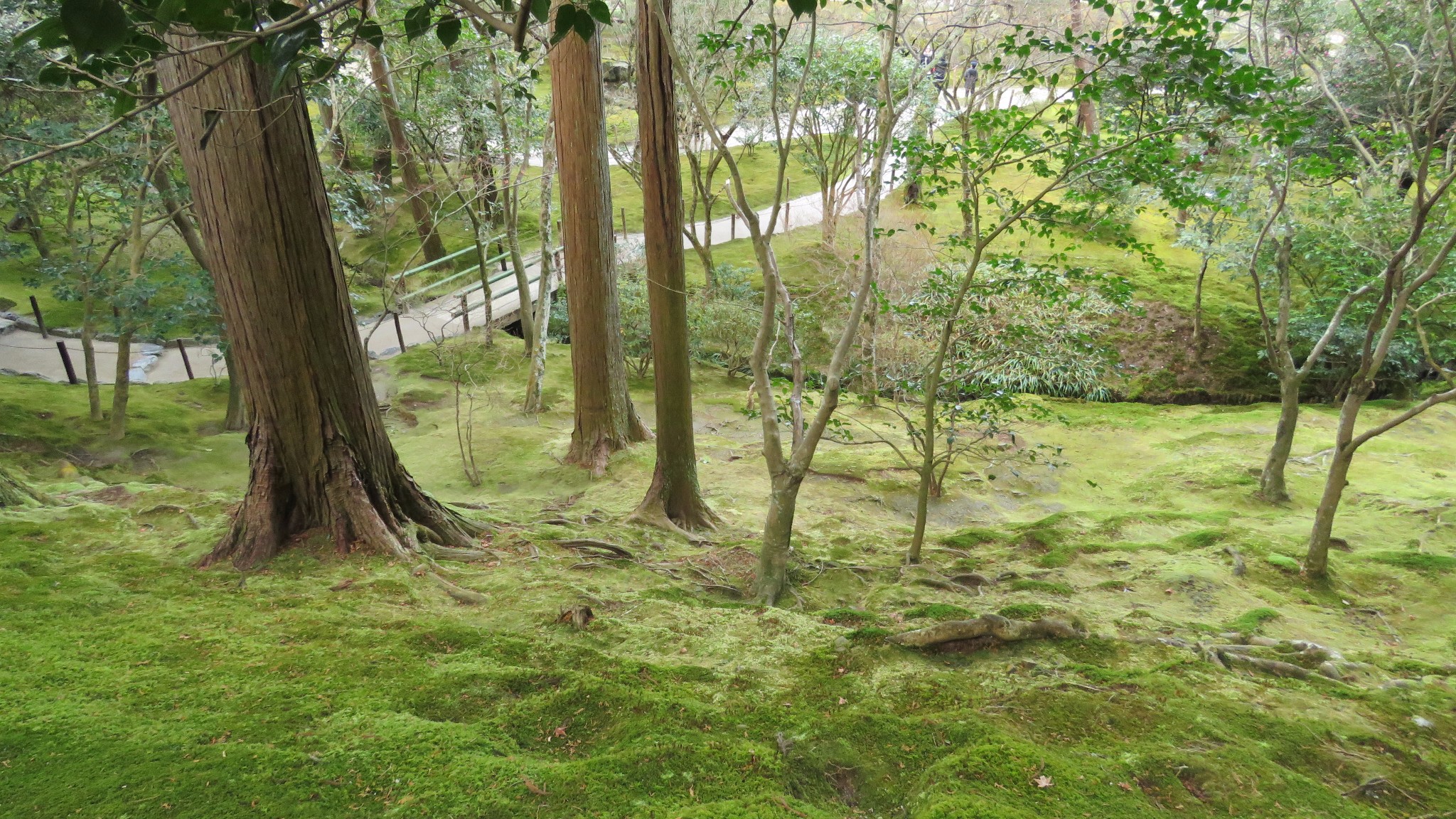 京都自助遊攻略