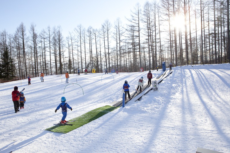 高山滑雪