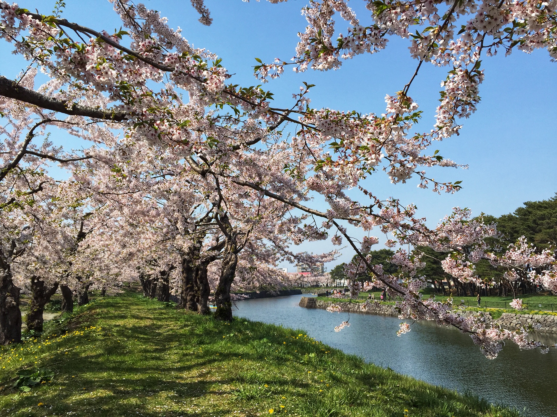 北海道自助遊攻略