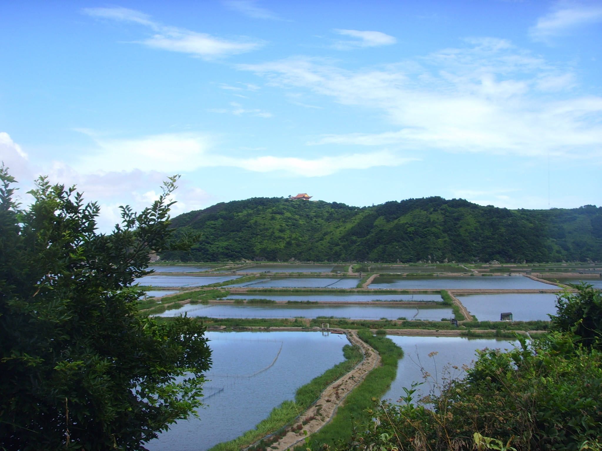 平陽西灣(二沙,金沙灘,跳頭村)圖片34,平陽旅遊景點,風景名勝 - 馬