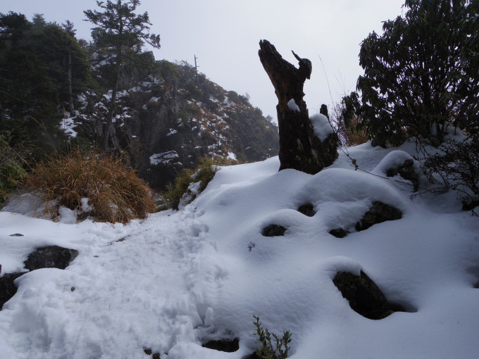 山东什么时候才可以下雪 wKgBEFqaifSAKcqfAAxhB8fuIsg05.jpeg?imageView2%2F2%2Fw%2F680%2Fq%2F90%7CimageMogr2%2Fstrip%2Fquality%2F90