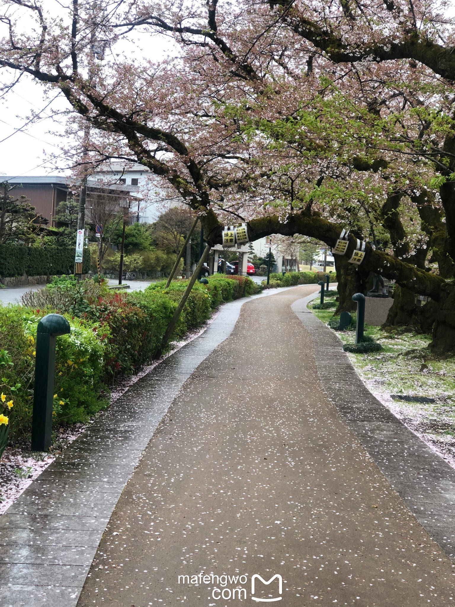 名古屋自助遊攻略