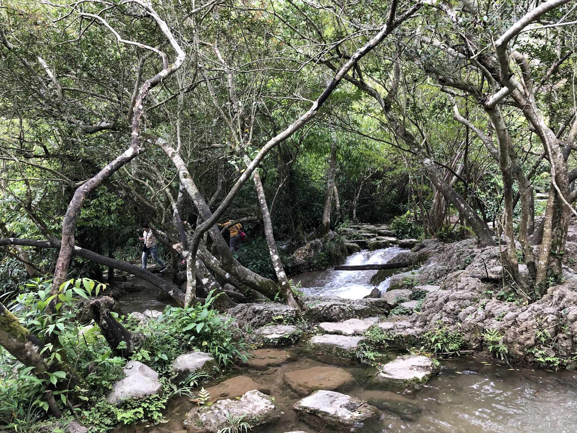 荔波自助遊攻略