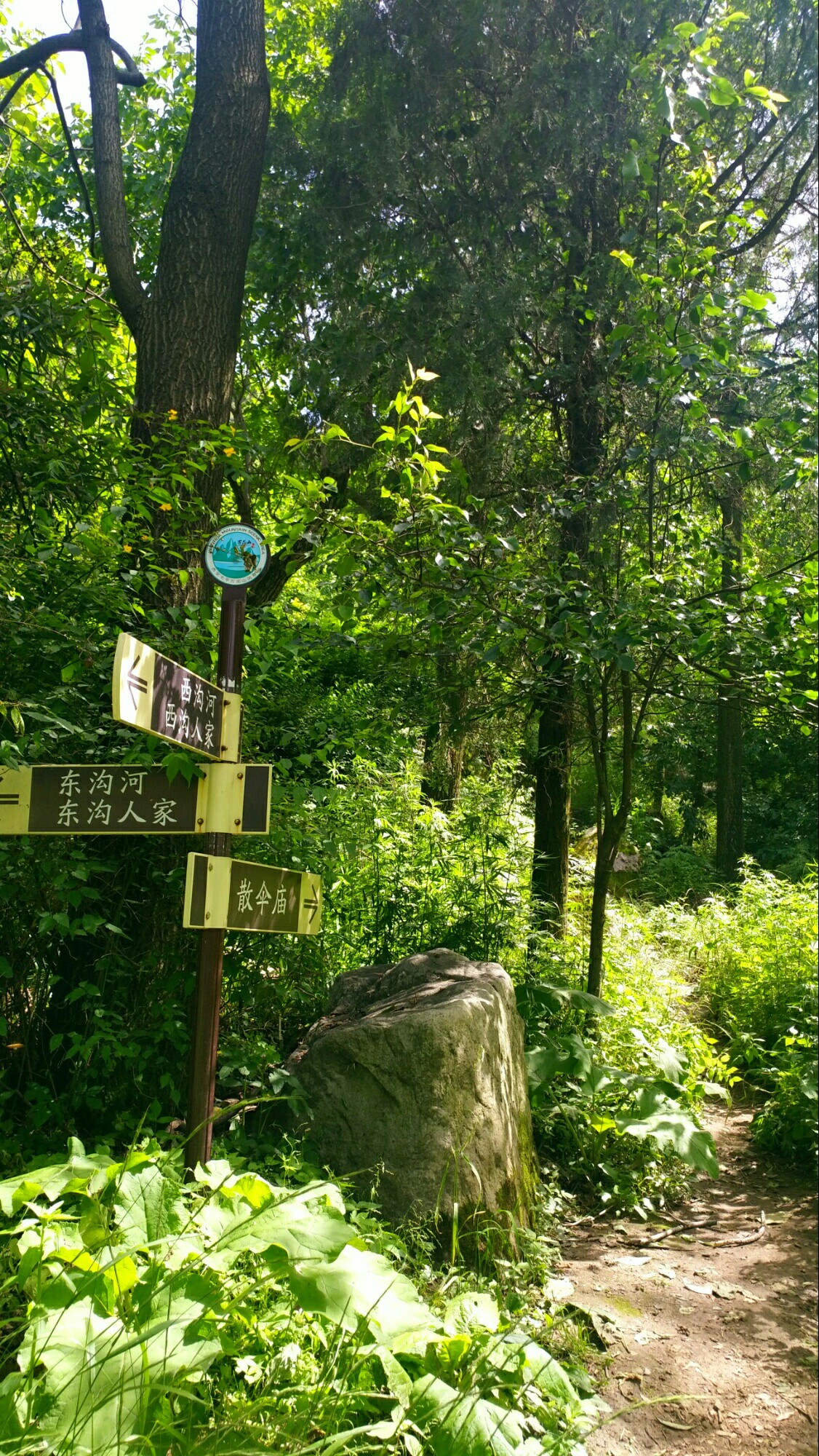 詩遊中國之秦嶺太平萬花山,戶縣自助遊攻略 - 馬蜂窩