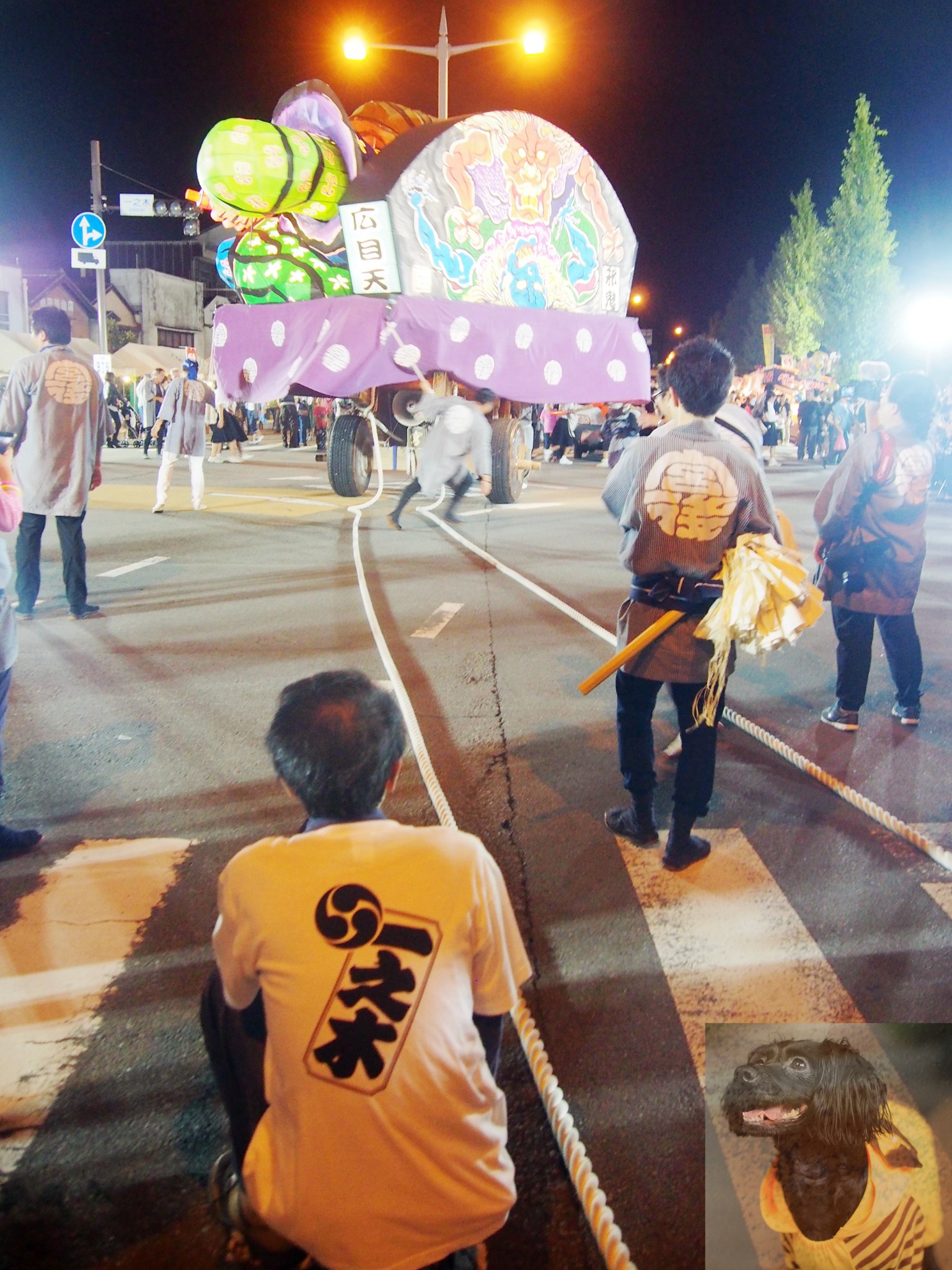 伊势神宫祭主图片