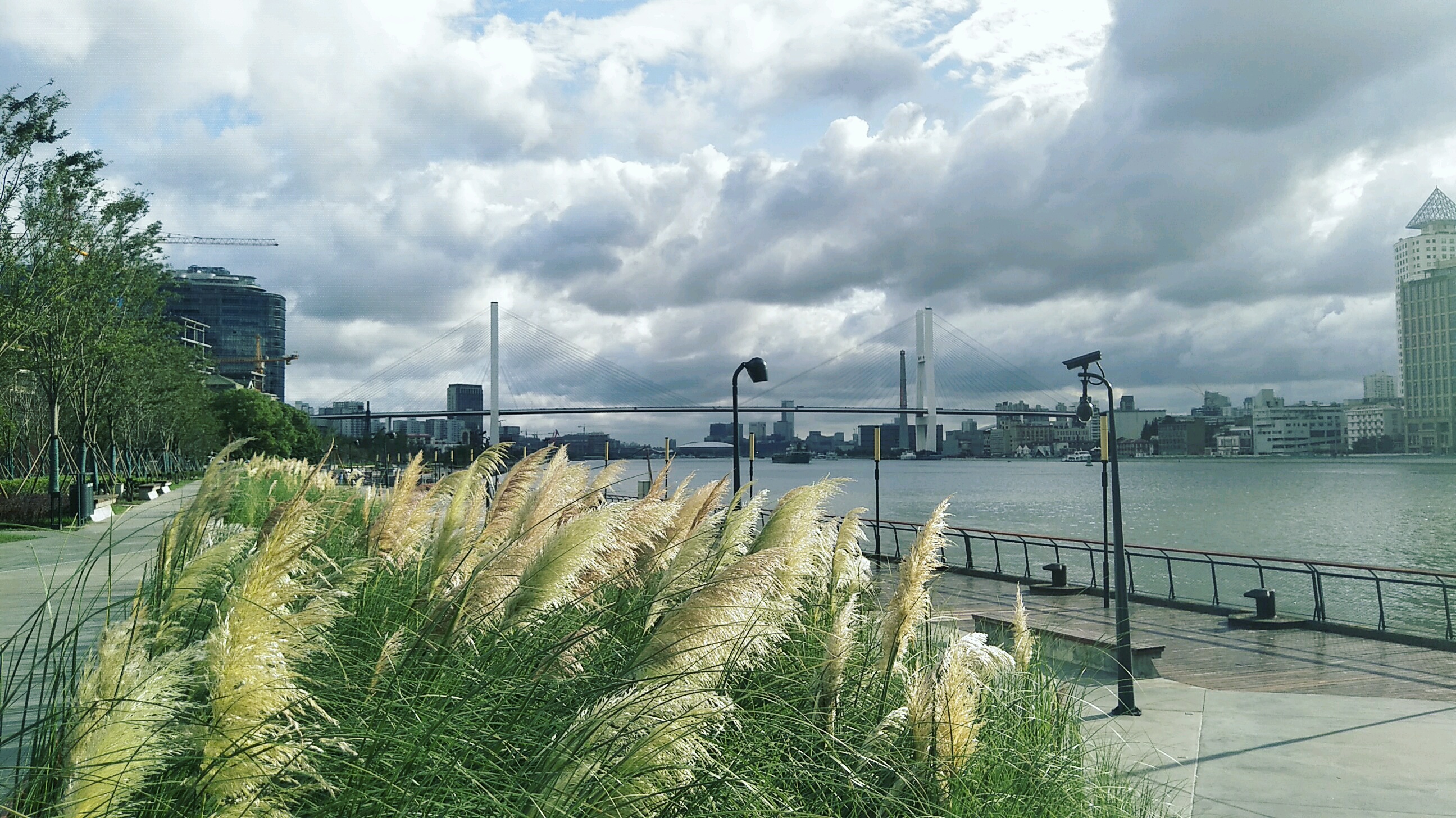 老白渡滨江绿地