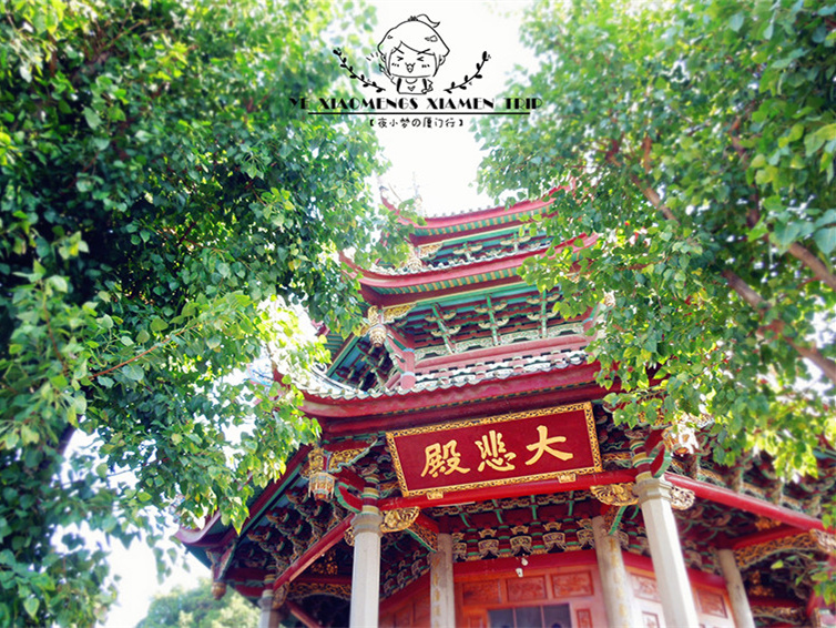 厦门经典三日游线路