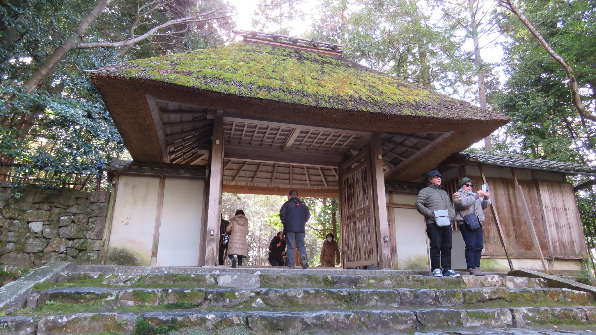 京都自助遊攻略