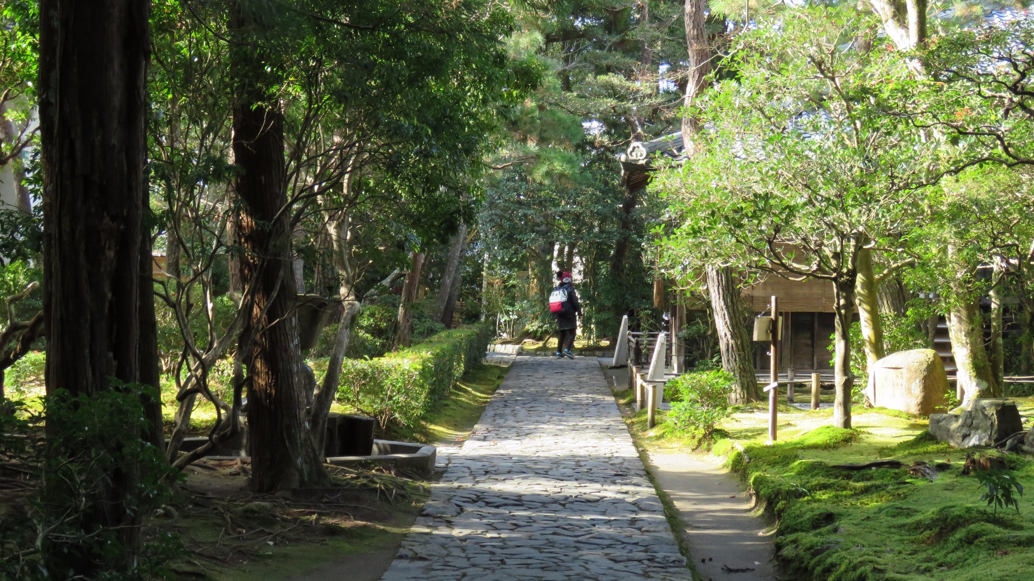 京都自助遊攻略