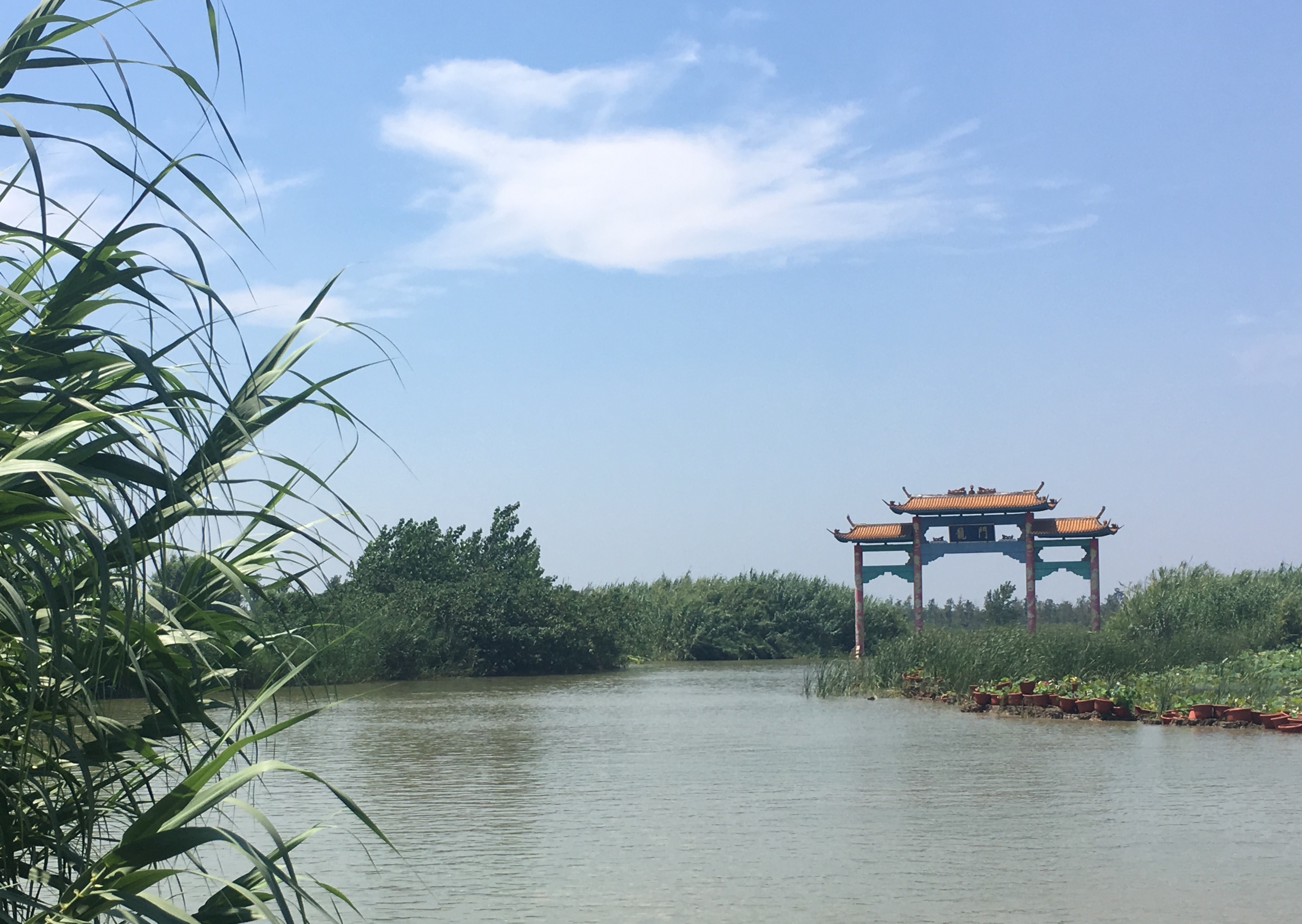 江苏洪泽湖湿地公园一游