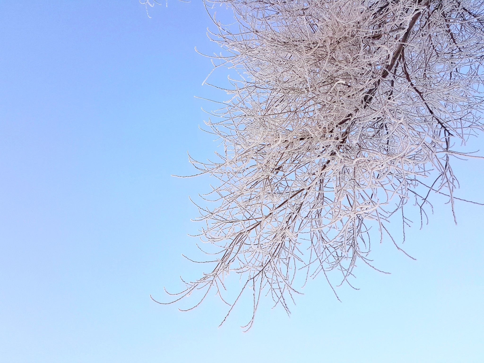 雪鄉自助遊攻略