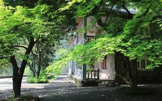 莫干山 | 春风十里,不如睡你