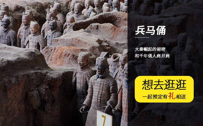 西安兵马俑门票免费使用无线耳麦现场导游讲解