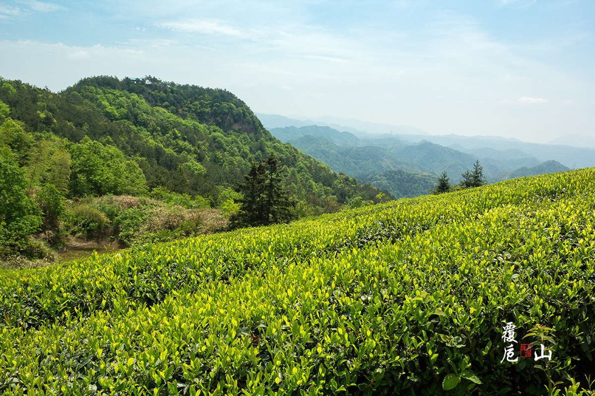 休闲踏春大岩岗和覆卮山