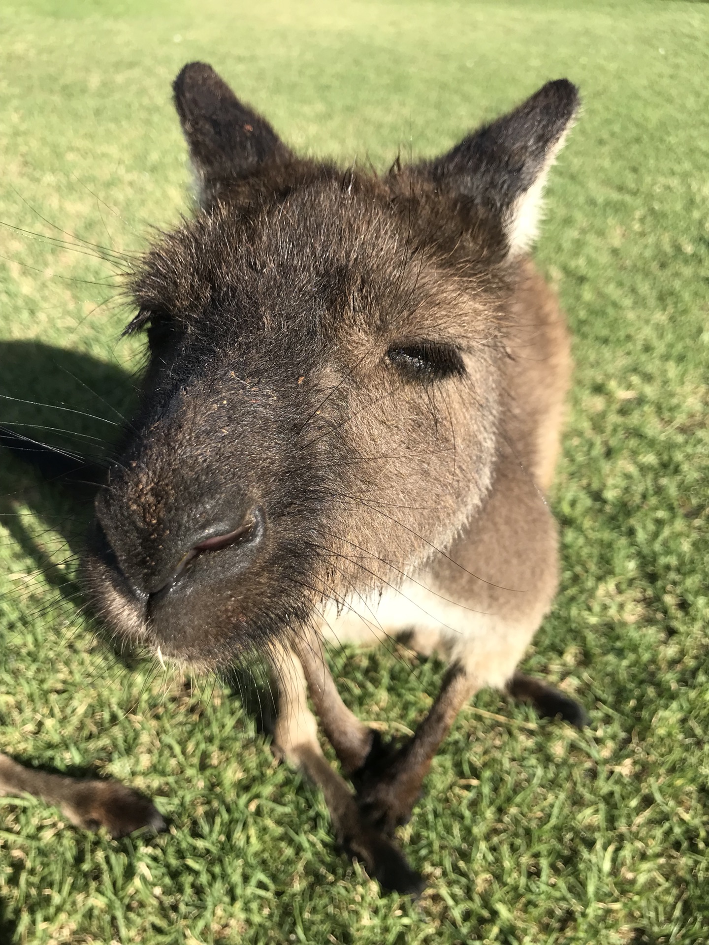 被上帝遗忘的角落-南澳port lincoin