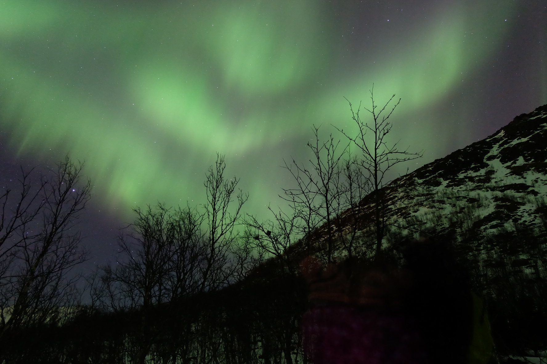 阿尼游记——二月Tromsø 特罗姆瑟，北极光...