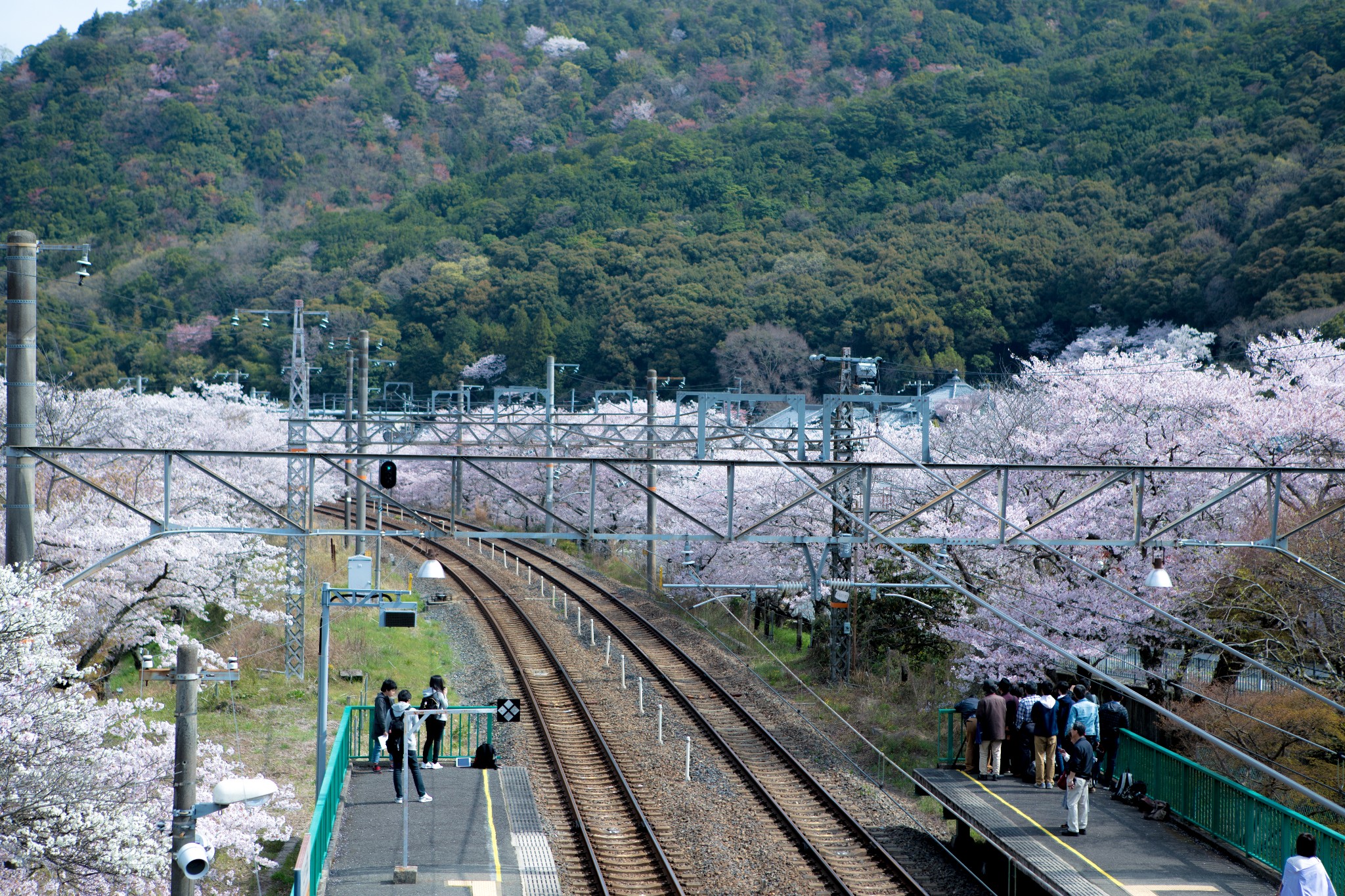 和歌山市自助遊攻略