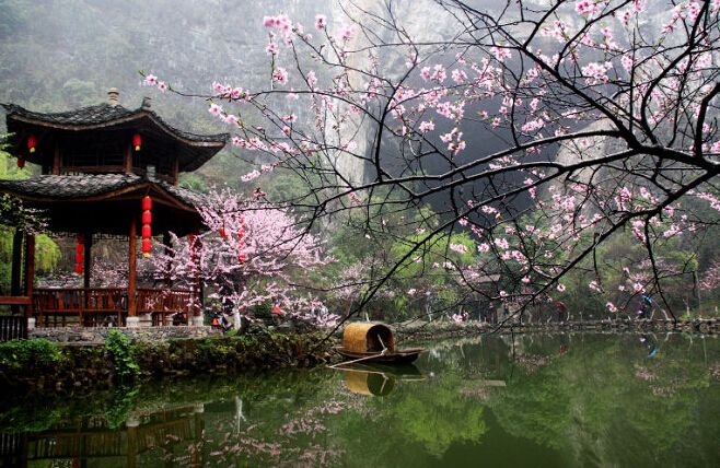 5小時),前往遊覽國家aaaaa級景區—【酉陽桃花源風景區】(遊覽時間不